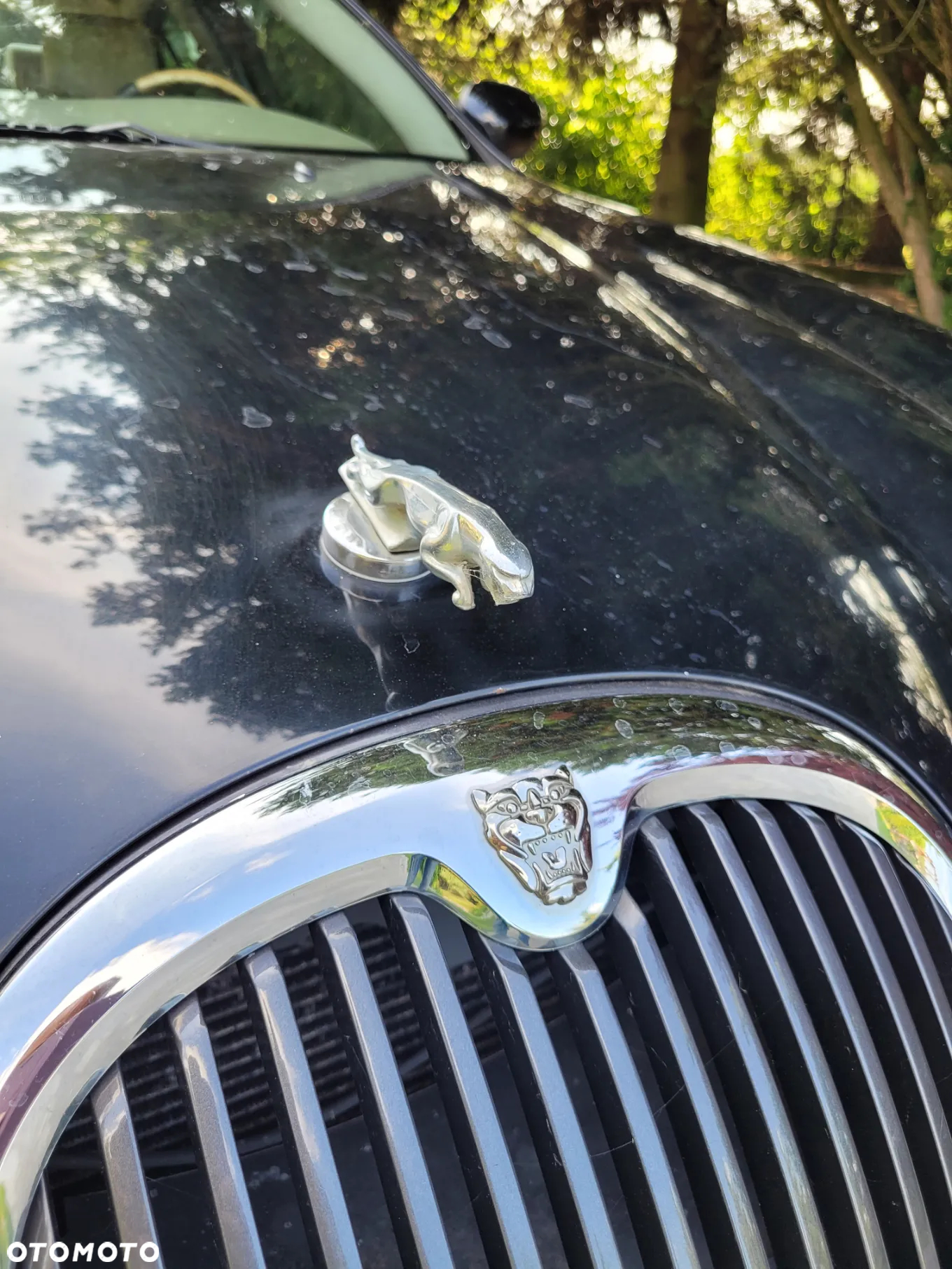 Jaguar S-Type - 28