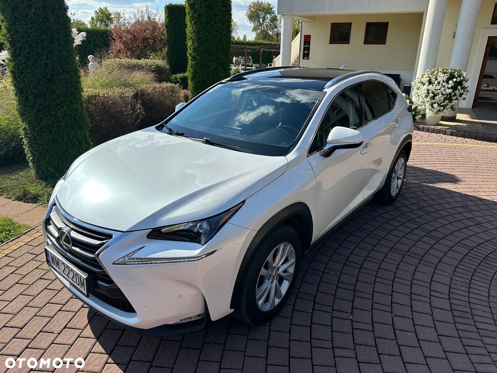 Lexus NX - 12