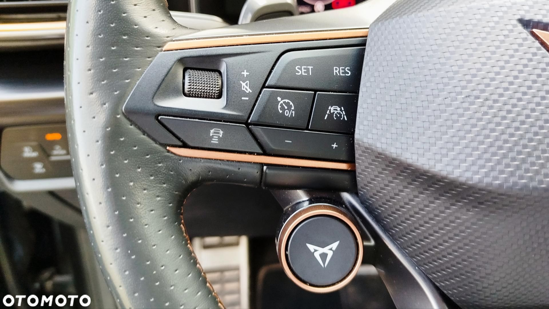 Cupra Formentor - 18