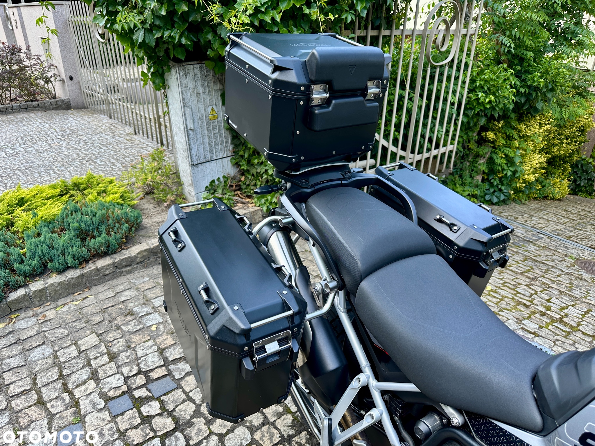 Triumph Tiger - 8
