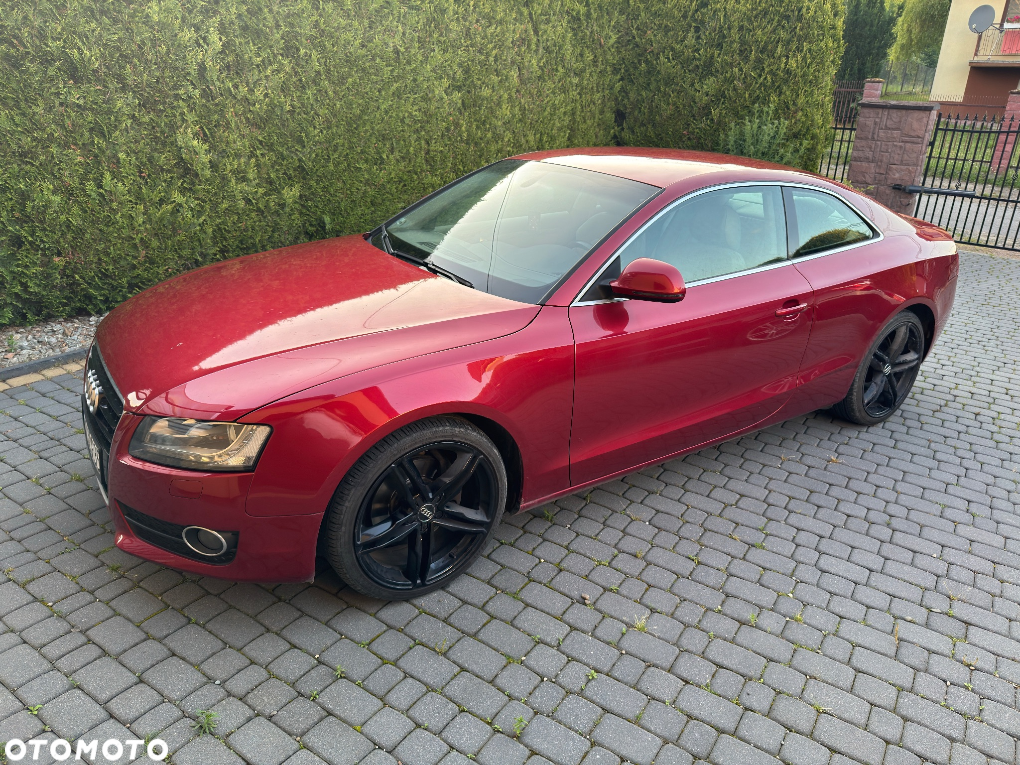 Audi A5 3.0 TDI Quattro - 2