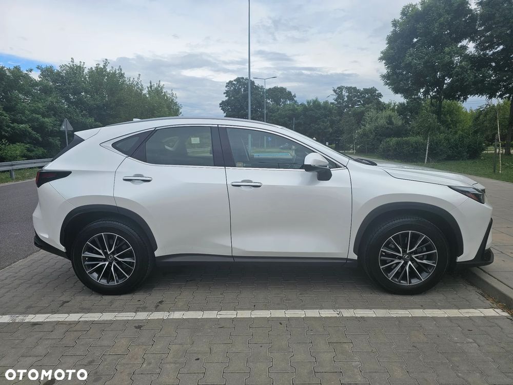 Lexus NX 300 Business Edition AWD - 2