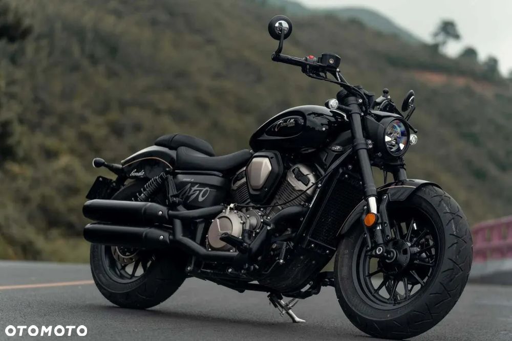 Benda Chinchilla 500 - 2