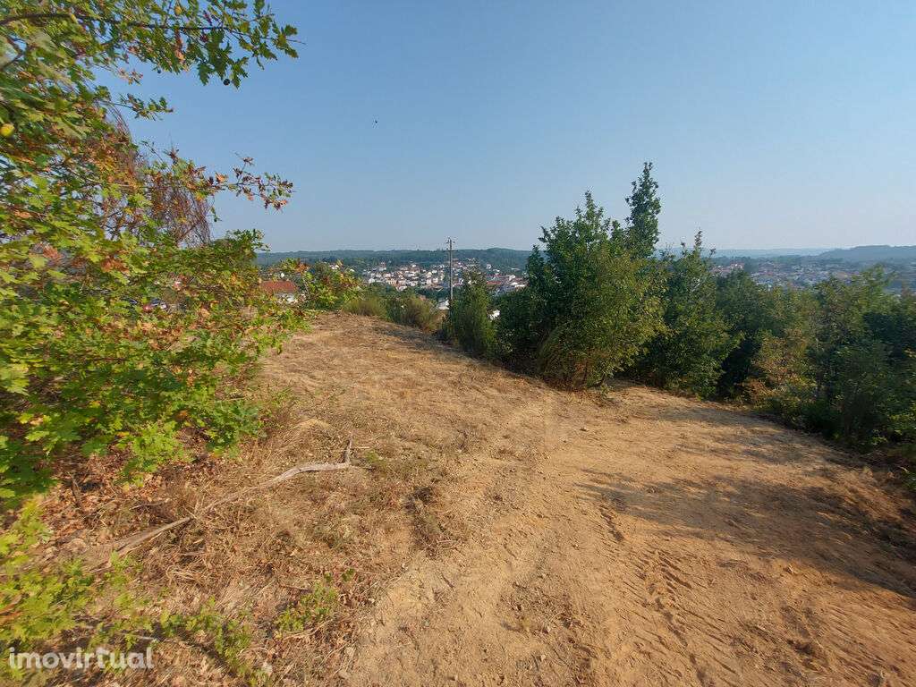 Venda Terreno - Grande imagem: 3/4