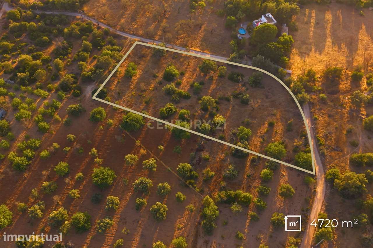 ✅ Terreno Rústico com 4.720 m² – Acessos Excelentes e Potencial Extrao - Grande imagem: 2/8