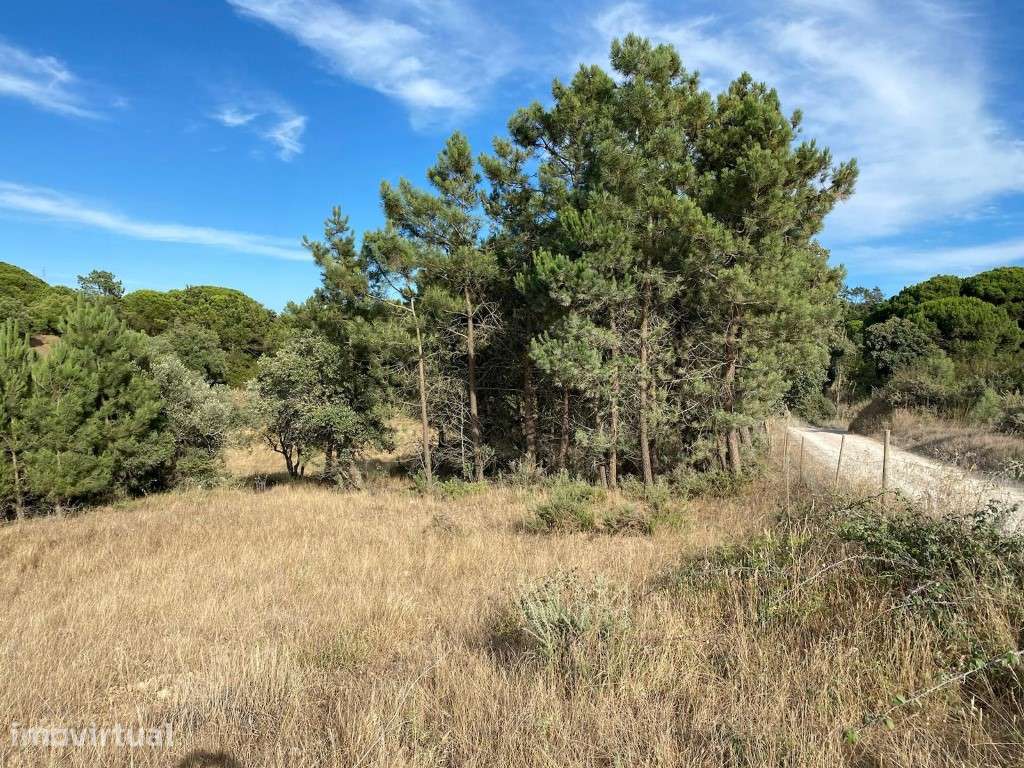 Terreno Exclusivo a 5 km da Aldeia do Meco, Sesimbra. - Grande imagem: 2/9