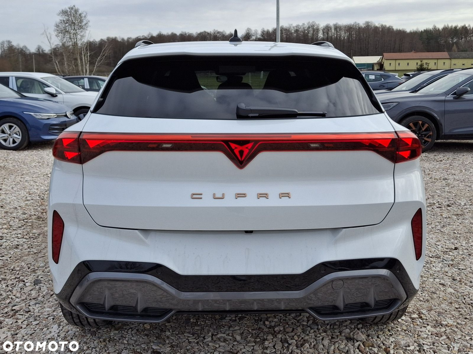 Cupra Terramar - 4