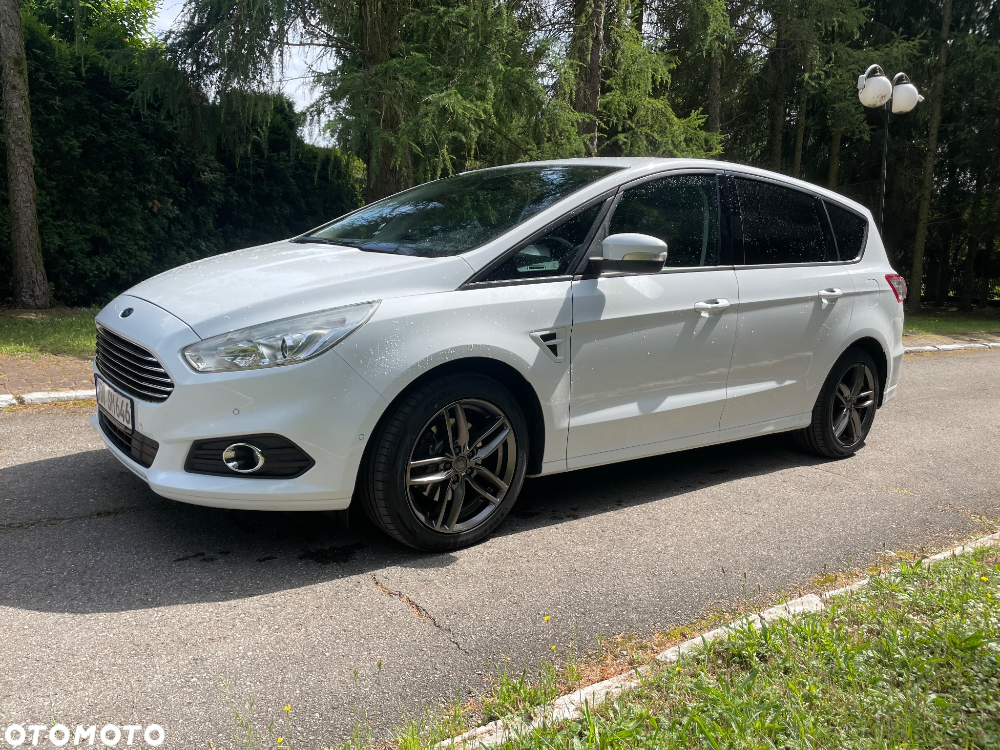 Ford S-Max 2.0 TDCi Titanium - 2