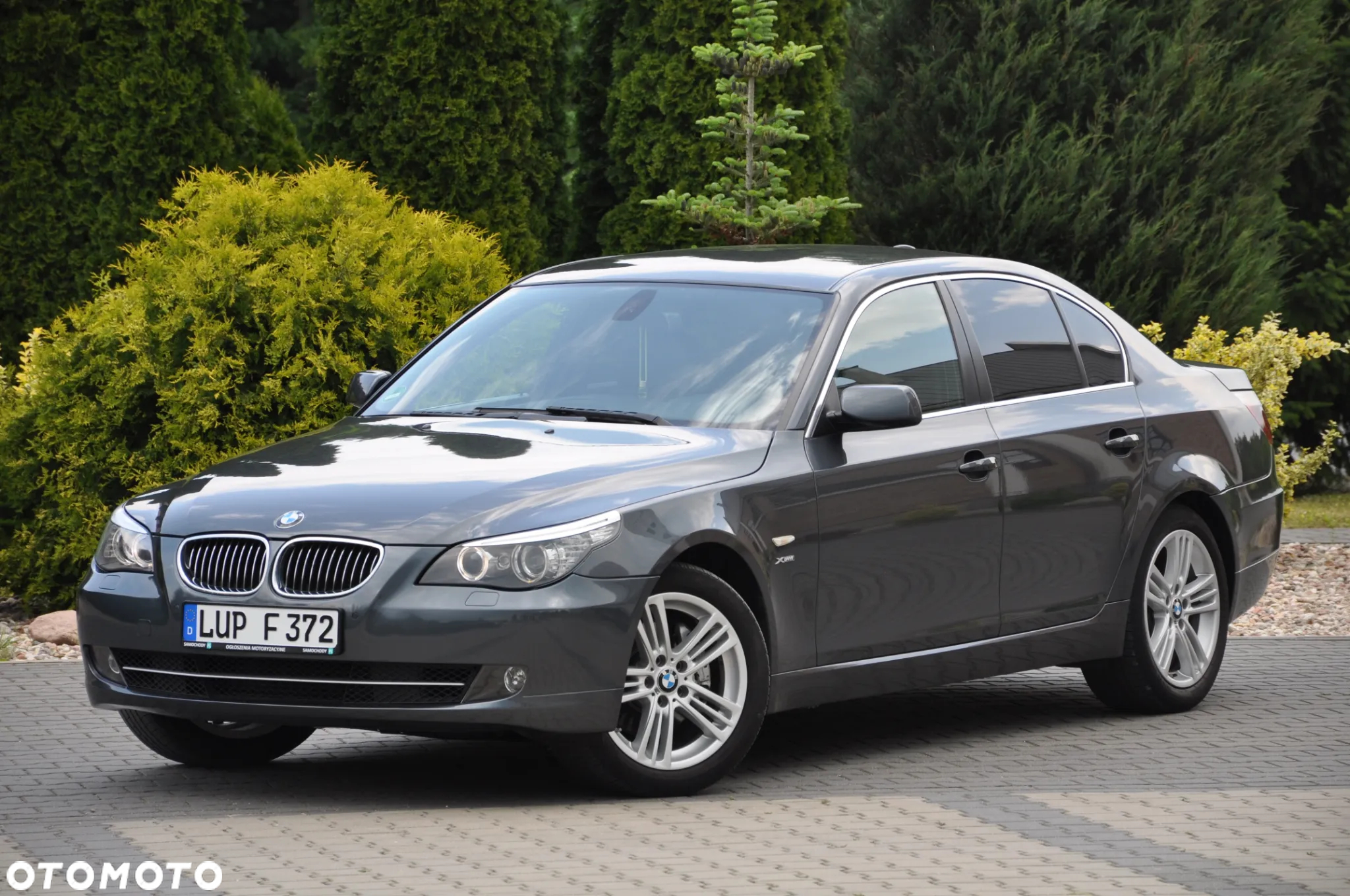 BMW Seria 5 - 11