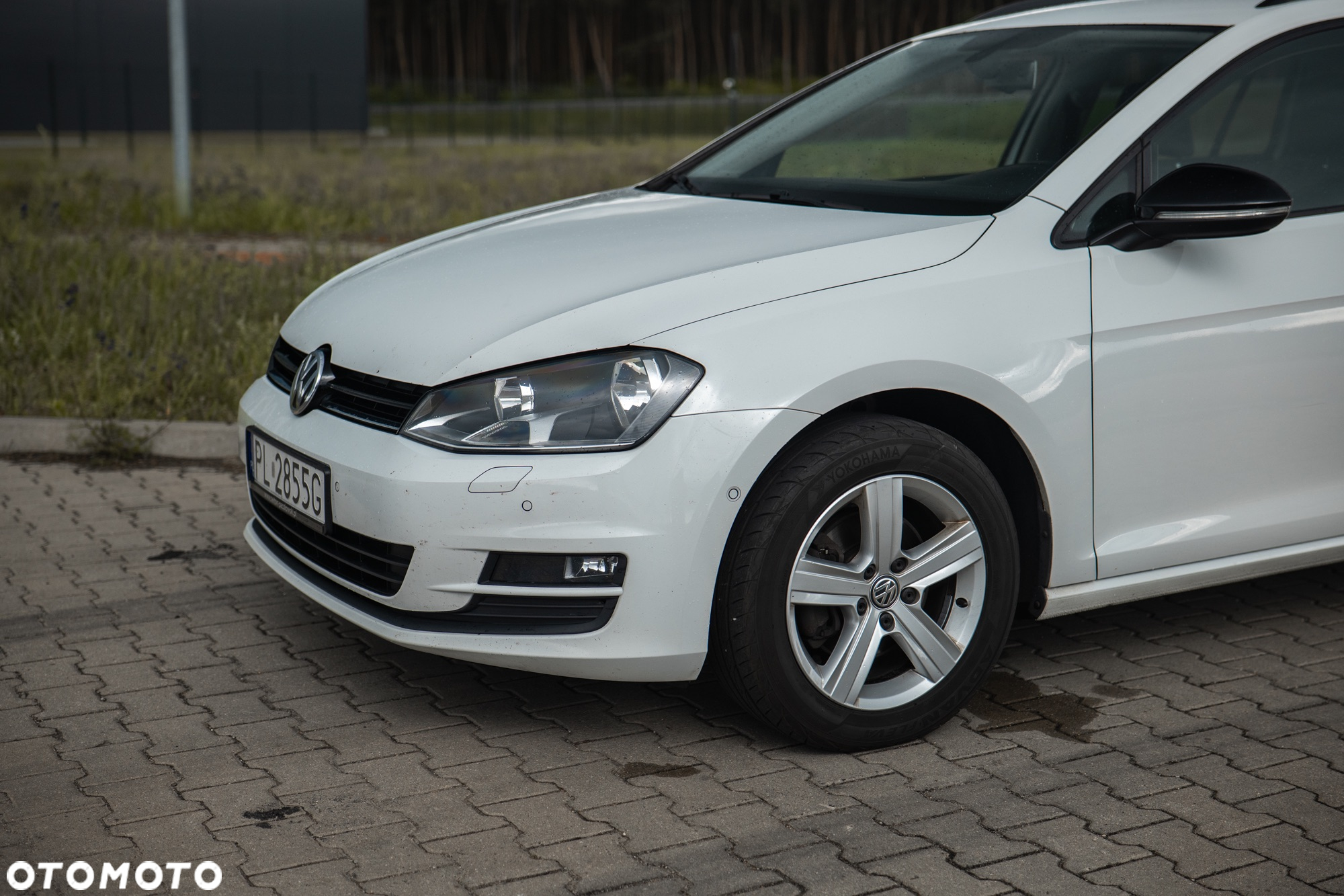 Volkswagen Golf - 13