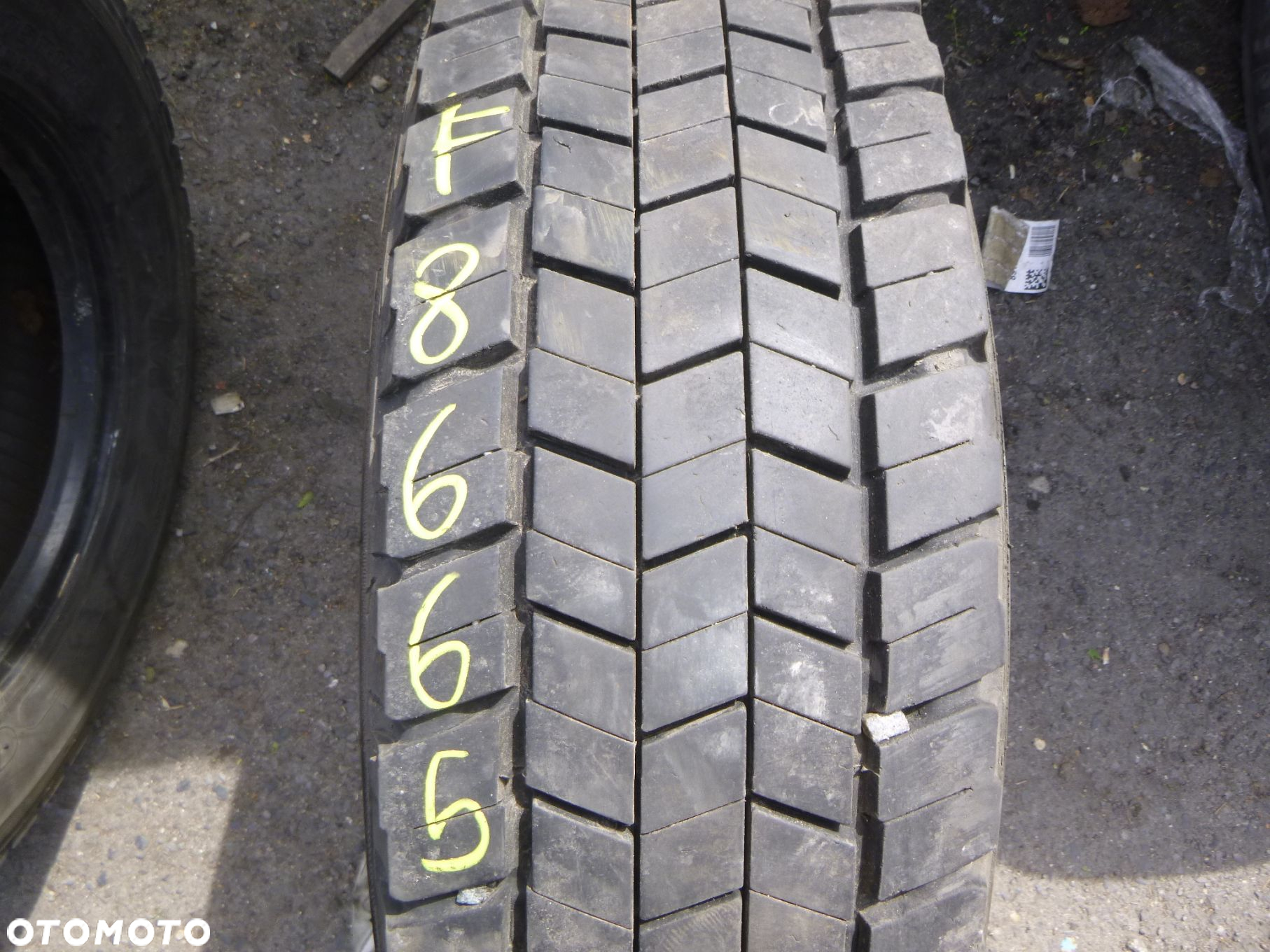 Opona 215/75R 17.5 Semperit Trans-Steel Naczepowa. Opony ciężarowe - 2