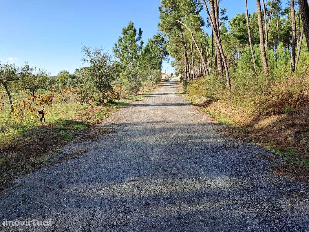 Terreno  para venda - Grande imagem: 2/15