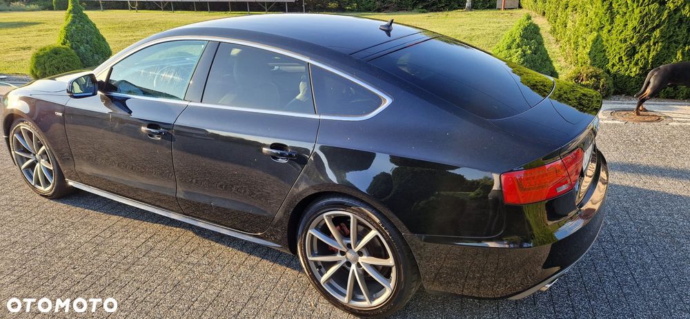 Audi A5 Sportback 3.0 TDI Multitronic - 5