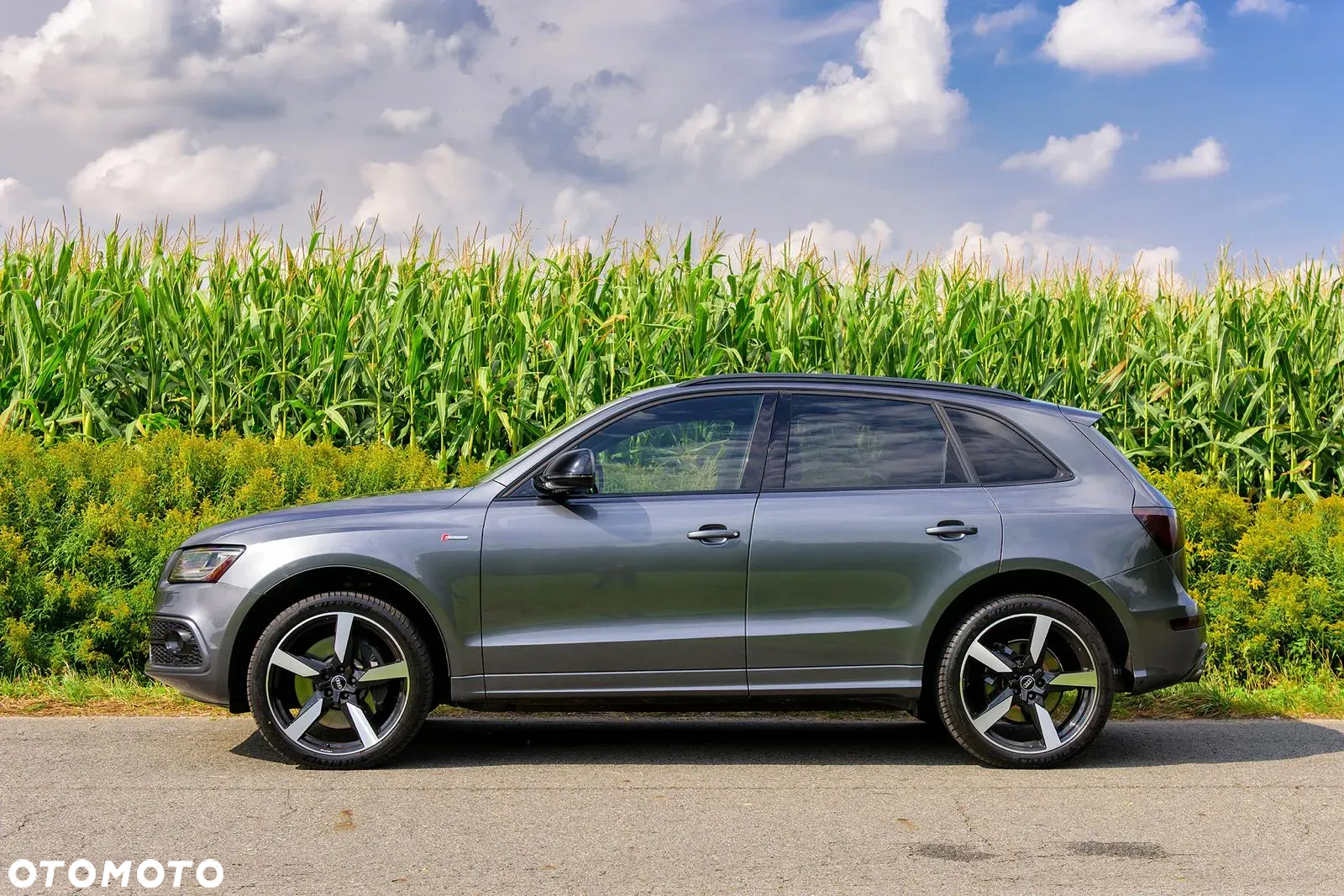 Audi SQ5 3.0 TFSI Quattro Tiptronic - 3