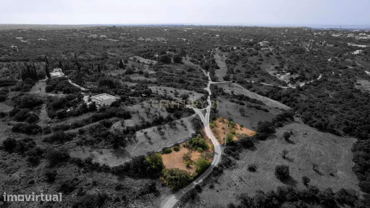 Terreno Rústico de 2.660 m² entre Pechão e Estoi - Grande imagem: 2/10