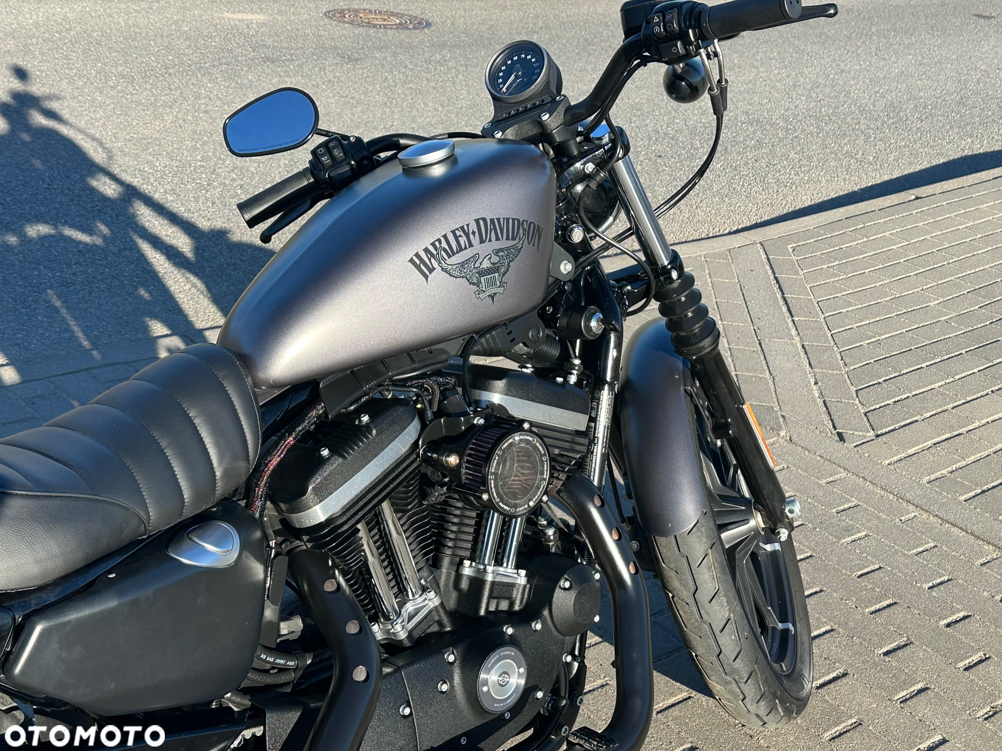 Harley-Davidson Sportster Iron 883 - 12