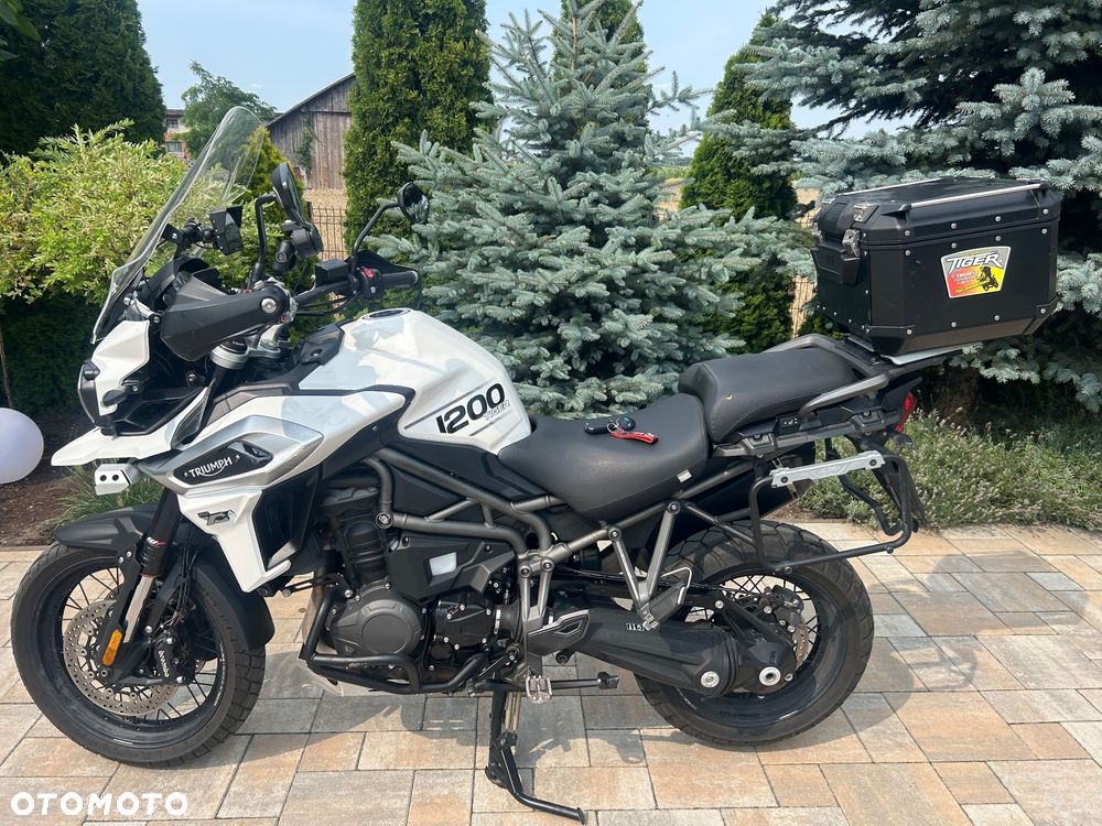 Triumph Tiger - 12