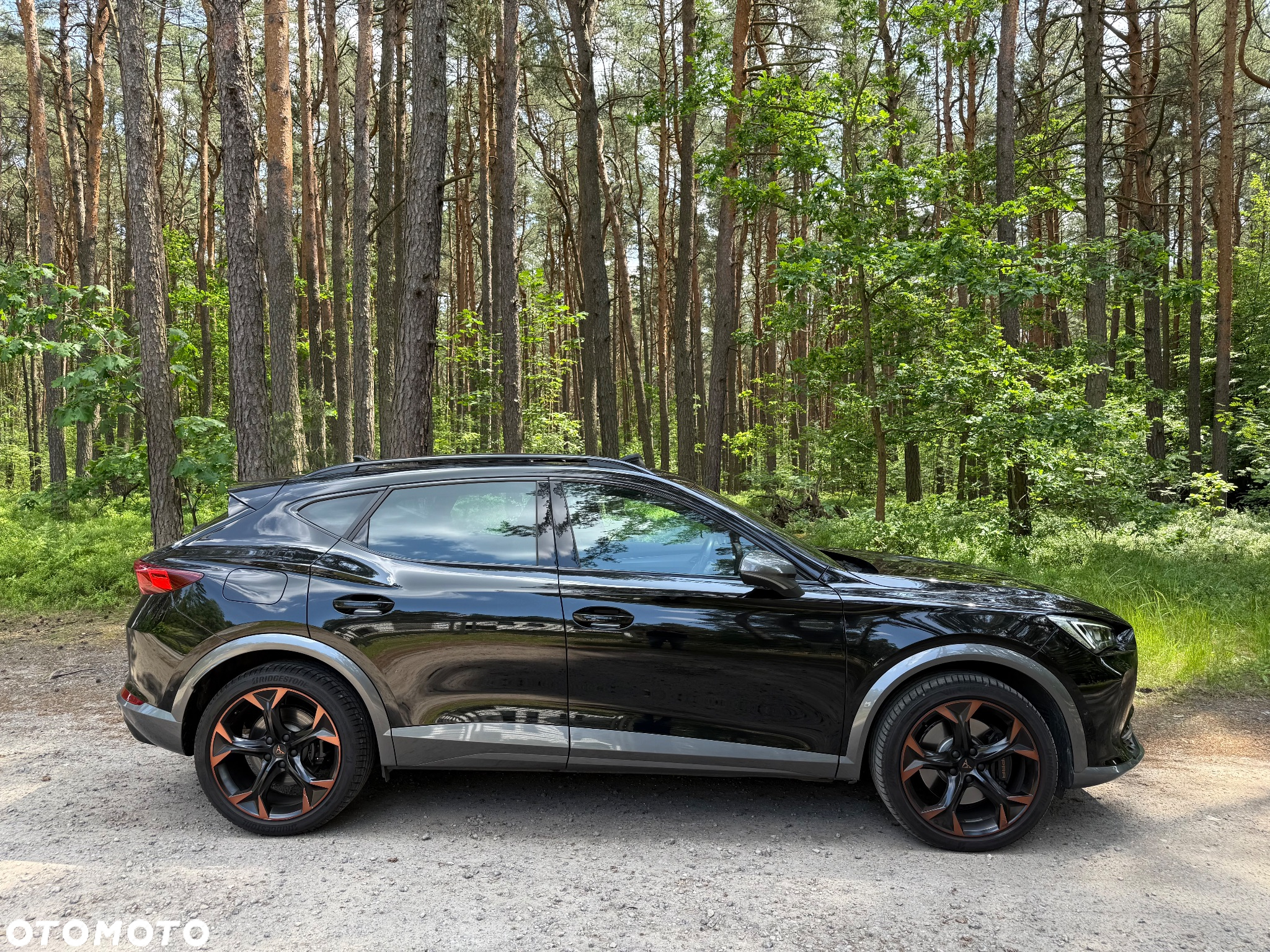 Cupra Formentor 2.0 TSI VZ DSG - 21