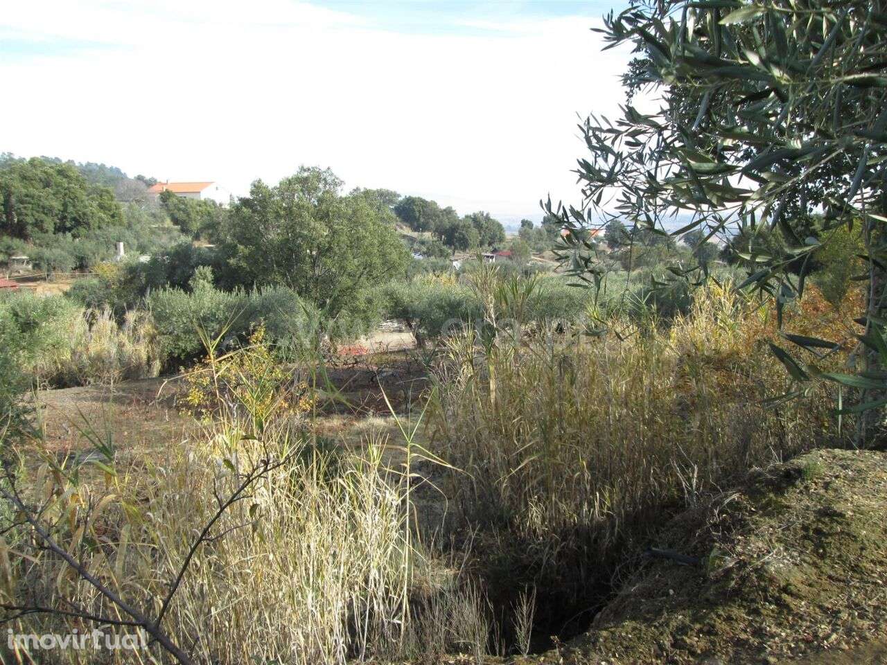 Quinta / Fundão, Telhado - Grande imagem: 3/8