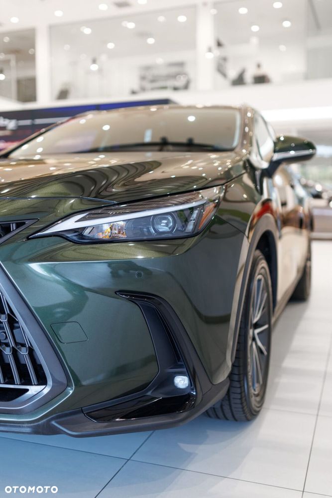 Lexus NX 350h Prestige 2WD - 14