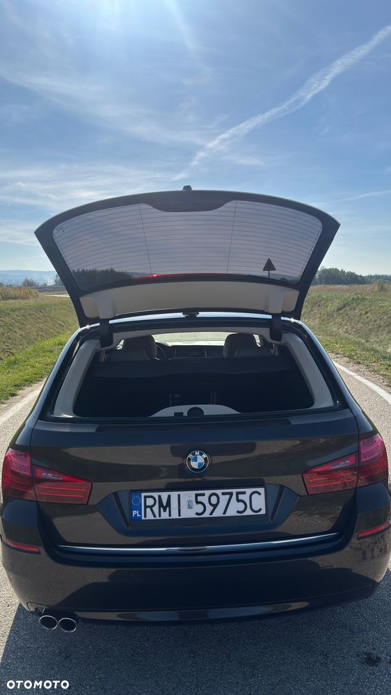 BMW Seria 5 520d Luxury Line - 6