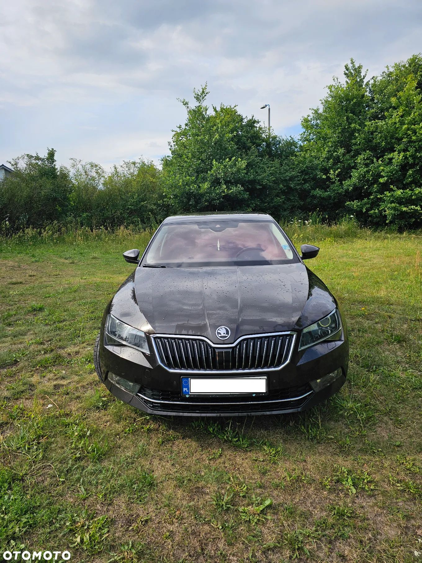 Skoda Superb 2.0 TDI 4x4 Style DSG - 1