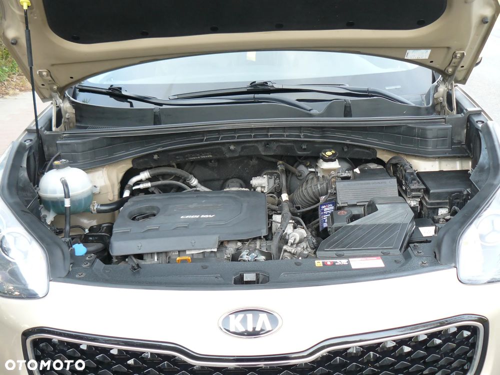 Kia Sportage - 24