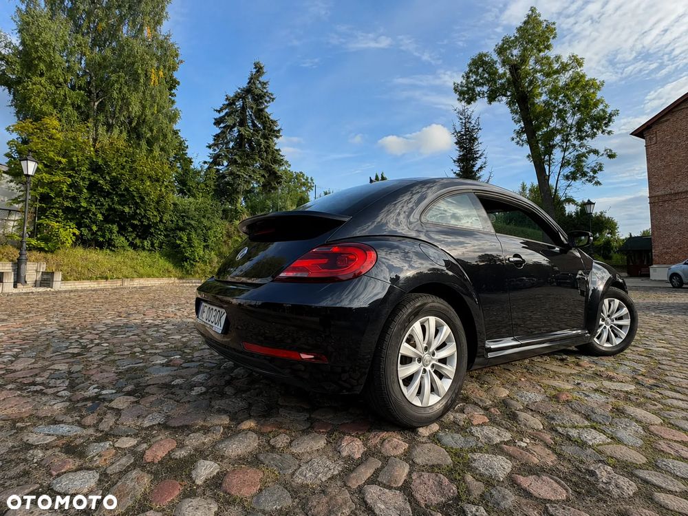 Volkswagen Beetle - 8