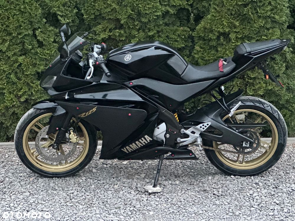 Yamaha YZF - 13