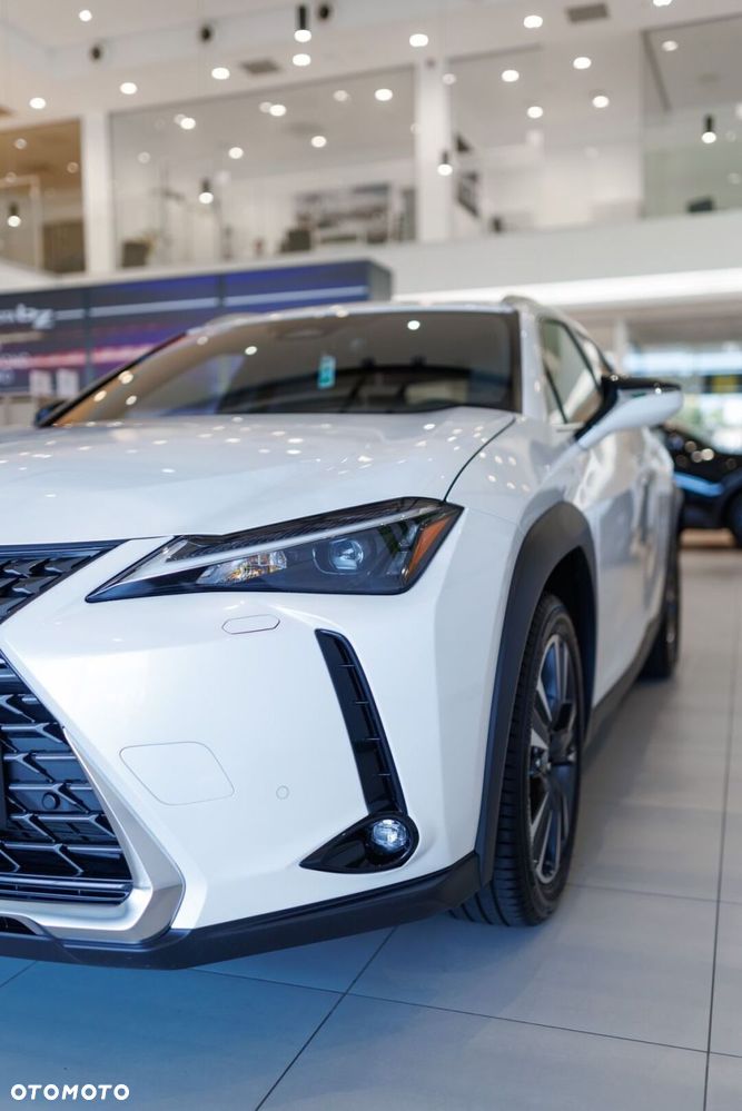 Lexus UX 300h Business - 14
