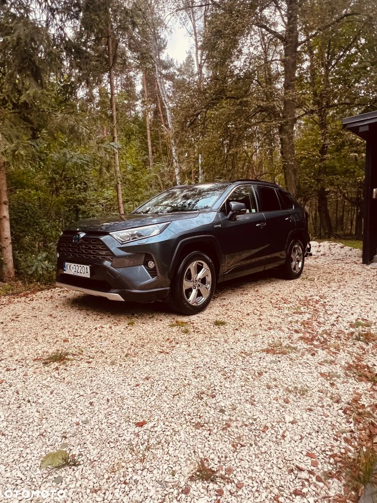 Toyota RAV4 2.5 Hybrid Executive 4x2 - 3