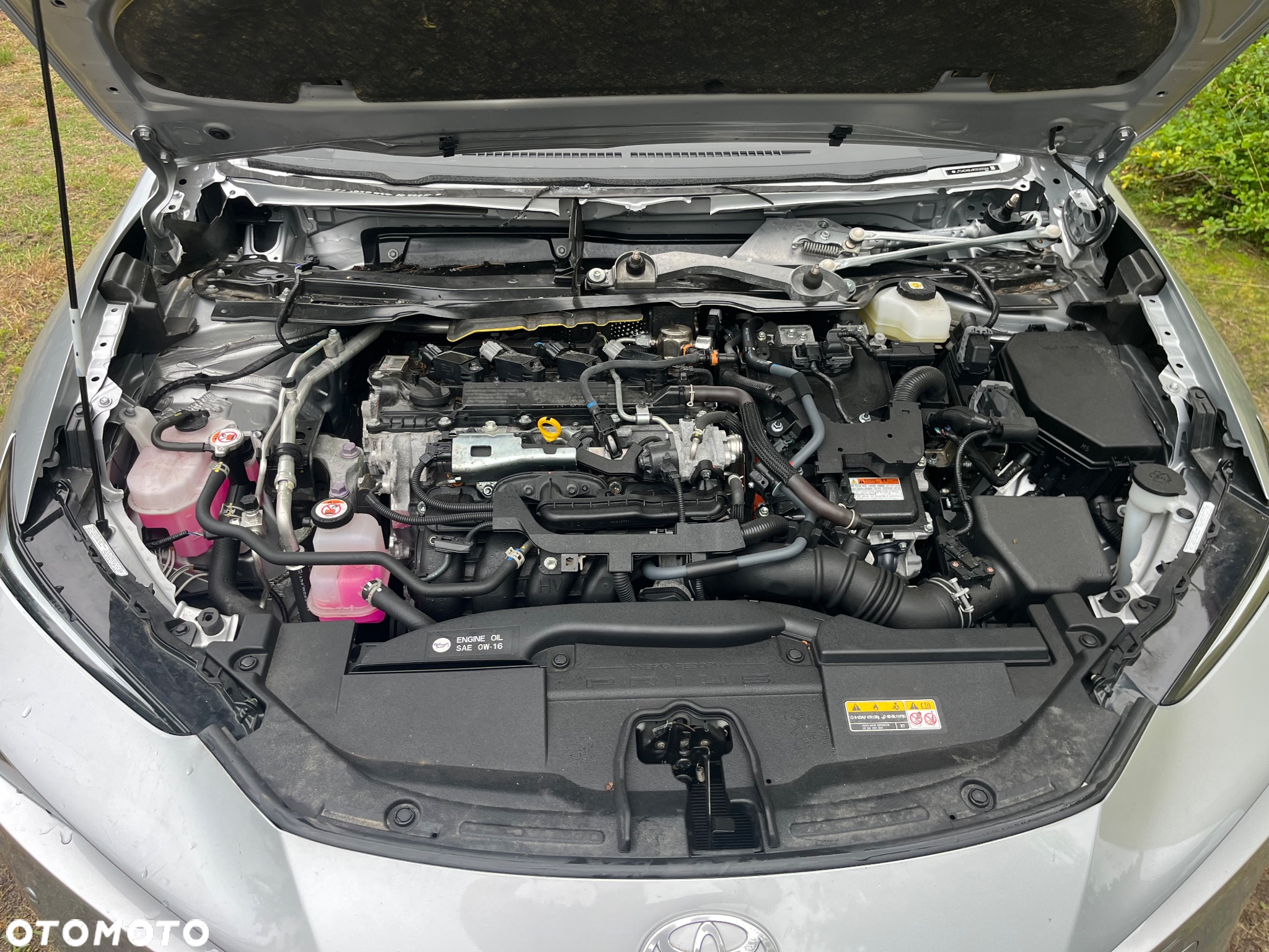 Toyota Prius - 19