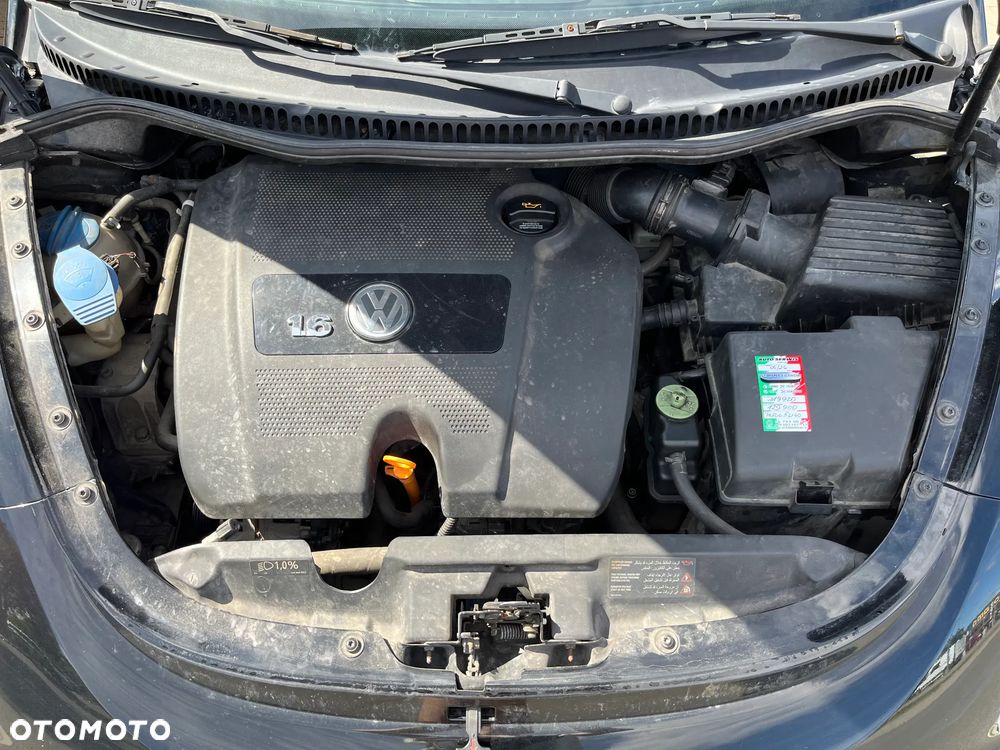 Volkswagen New Beetle - 9
