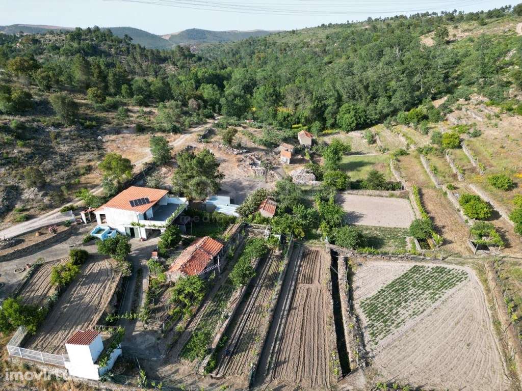 Magnifico terreno agricola com habitação T1- 31507 m2 de área em Ca... - Grande imagem: 5/25