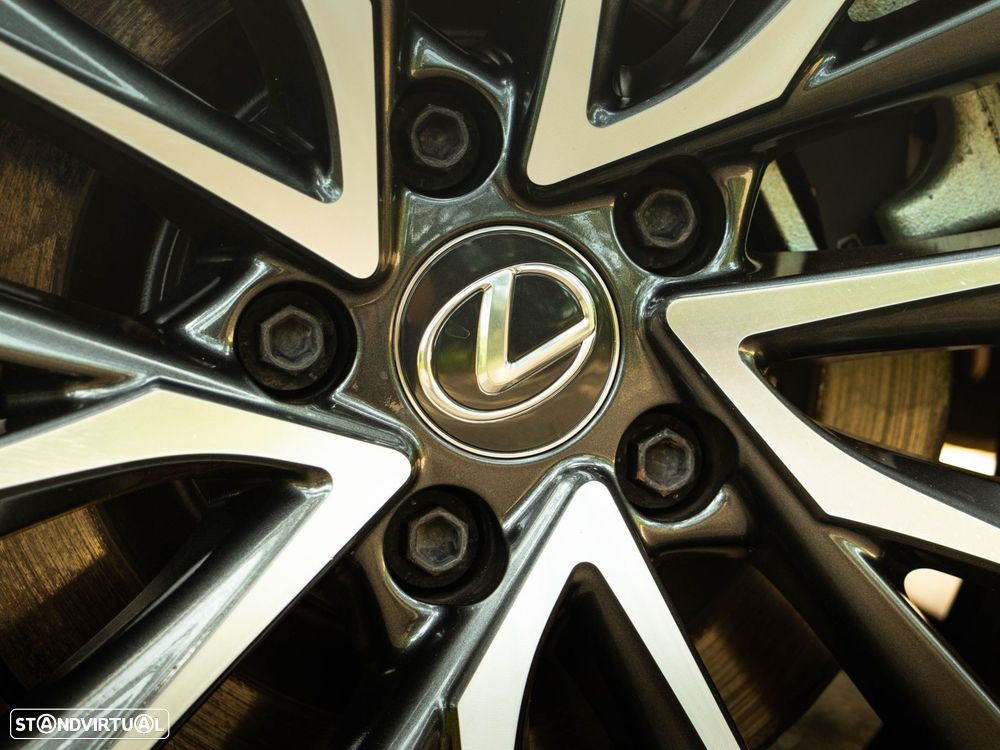 Lexus NX 450h+ Executive - 18