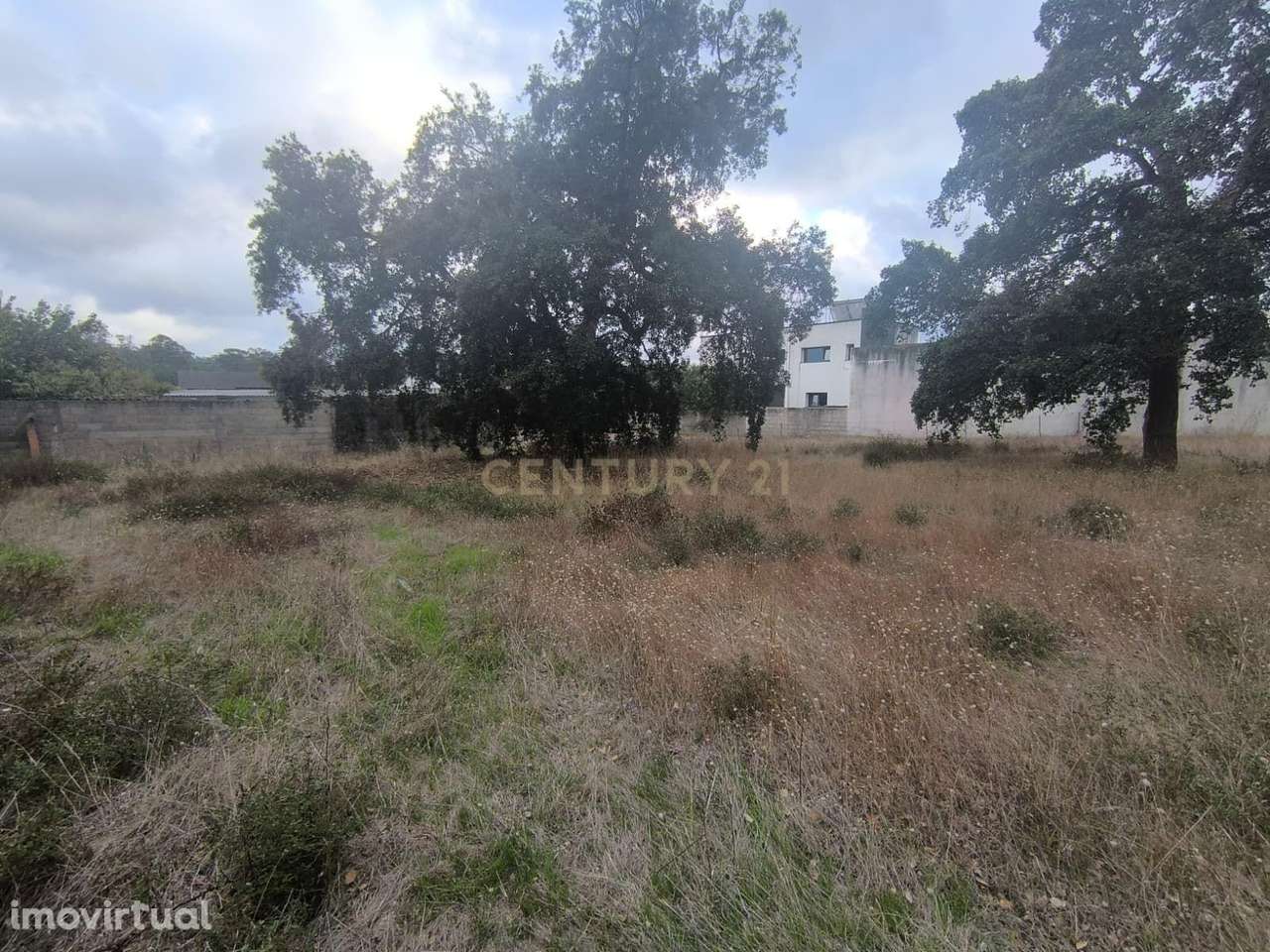 TERRENO  URBANO - Grande imagem: 5/5