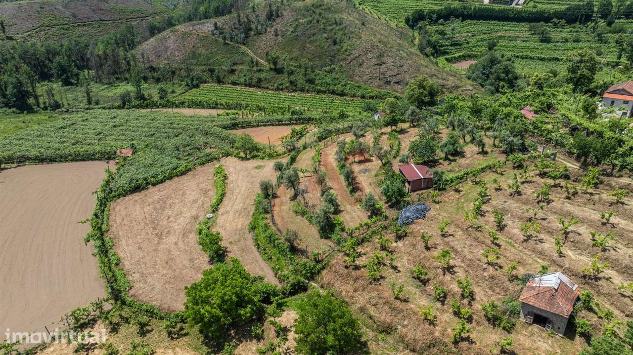 Terreno com 5.000 m² com Potêncial De Construção - Grande imagem: 4/8