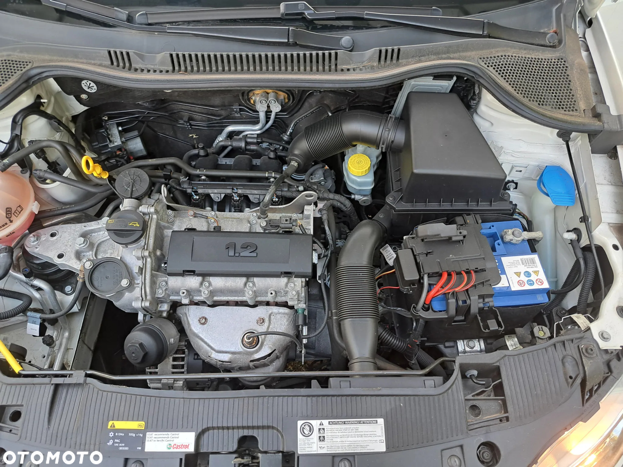 Seat Ibiza - 7