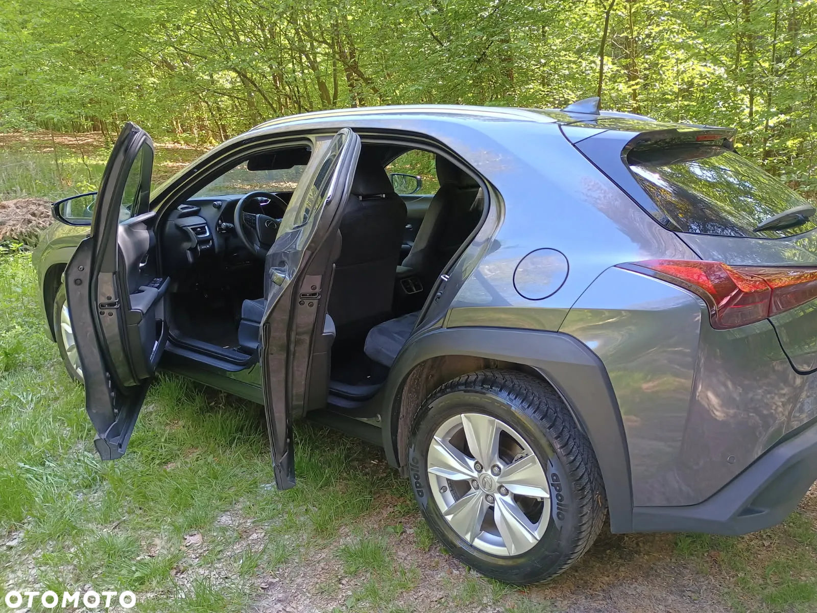 Lexus UX 250h GPF Business 2WD - 11
