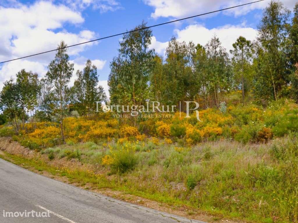 Terreno para construção de Moradia em Proença-a-Nova - Grande imagem: 3/19