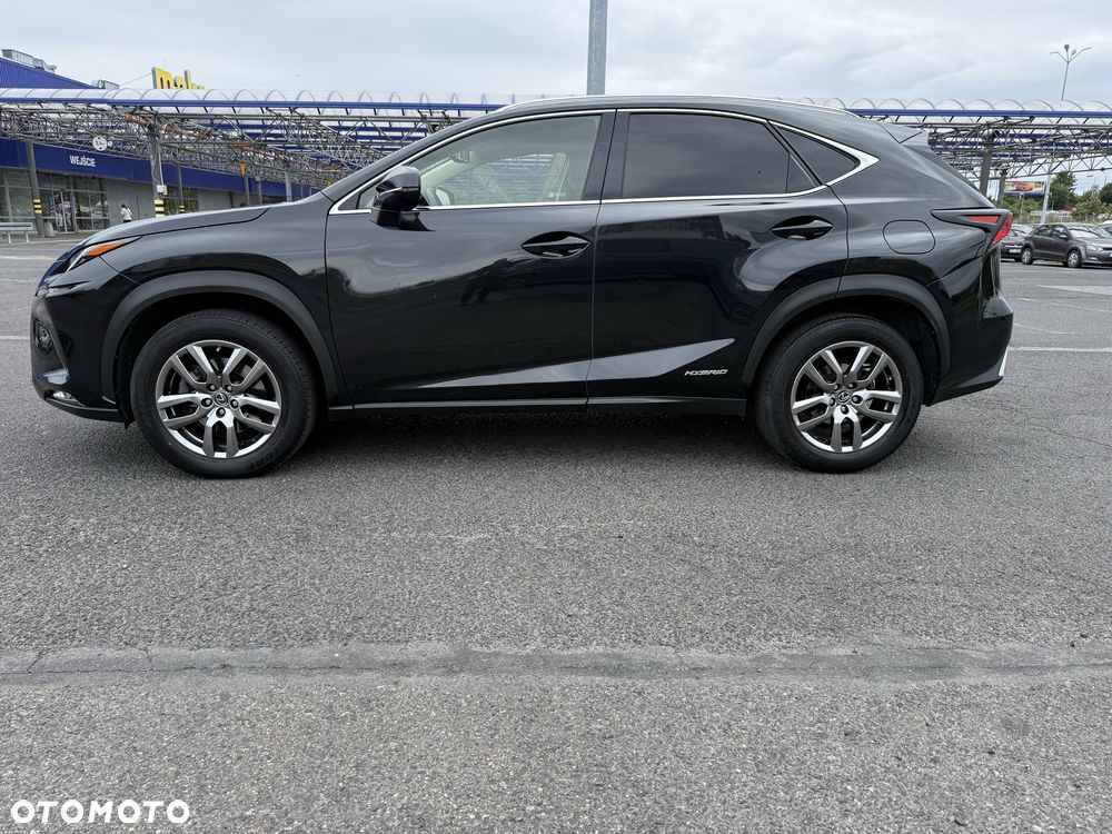 Lexus NX - 6