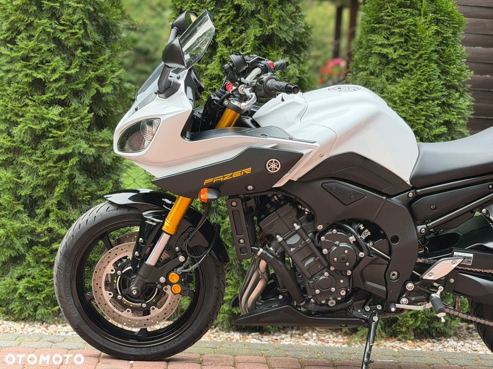 Yamaha FZ8 - 19