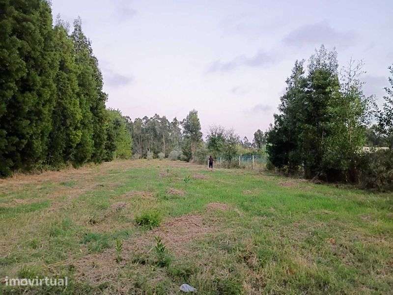 Grande Terreno 2745 M2 - Monte Arcado, Covoes - Grande imagem: 5/12