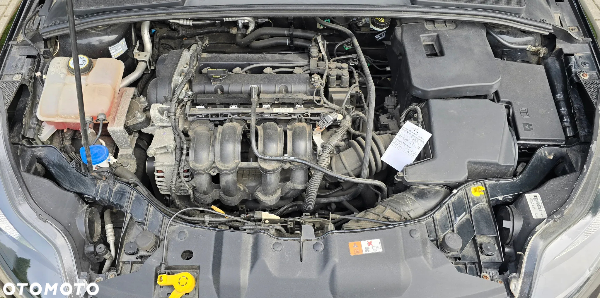 Ford Focus 1.6 TI-VCT Titanium - 37