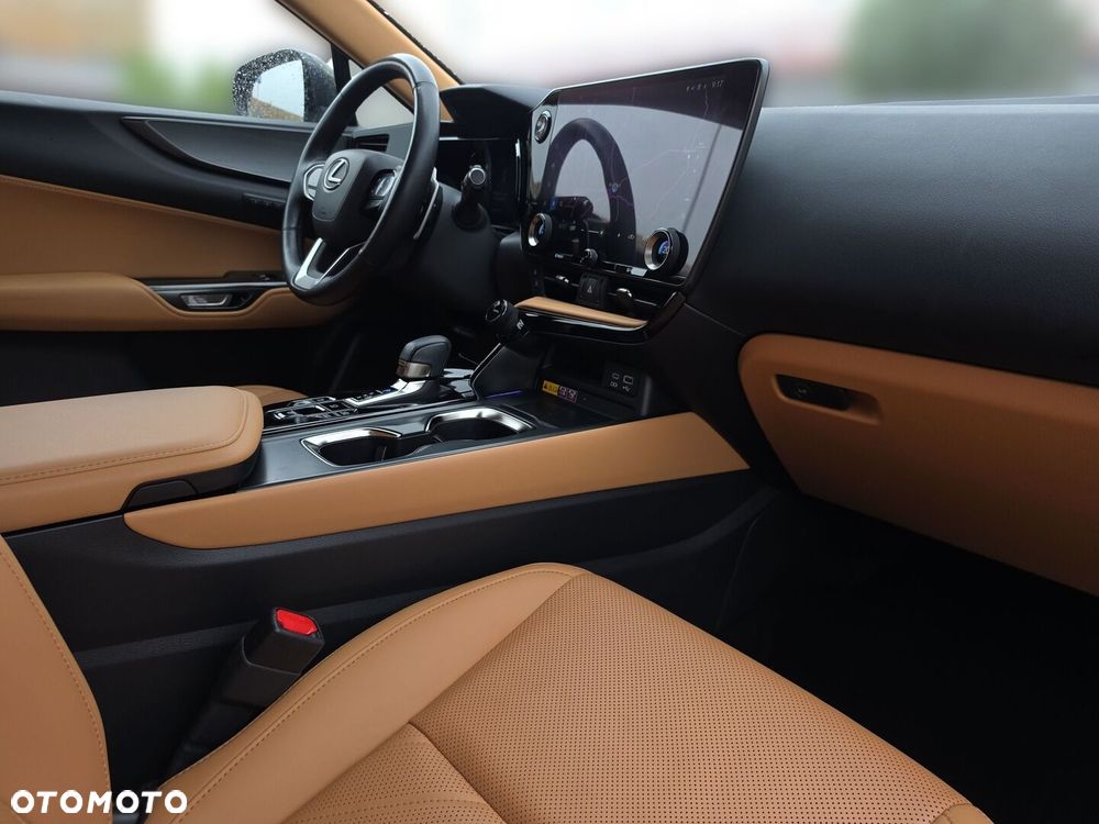 Lexus NX - 31
