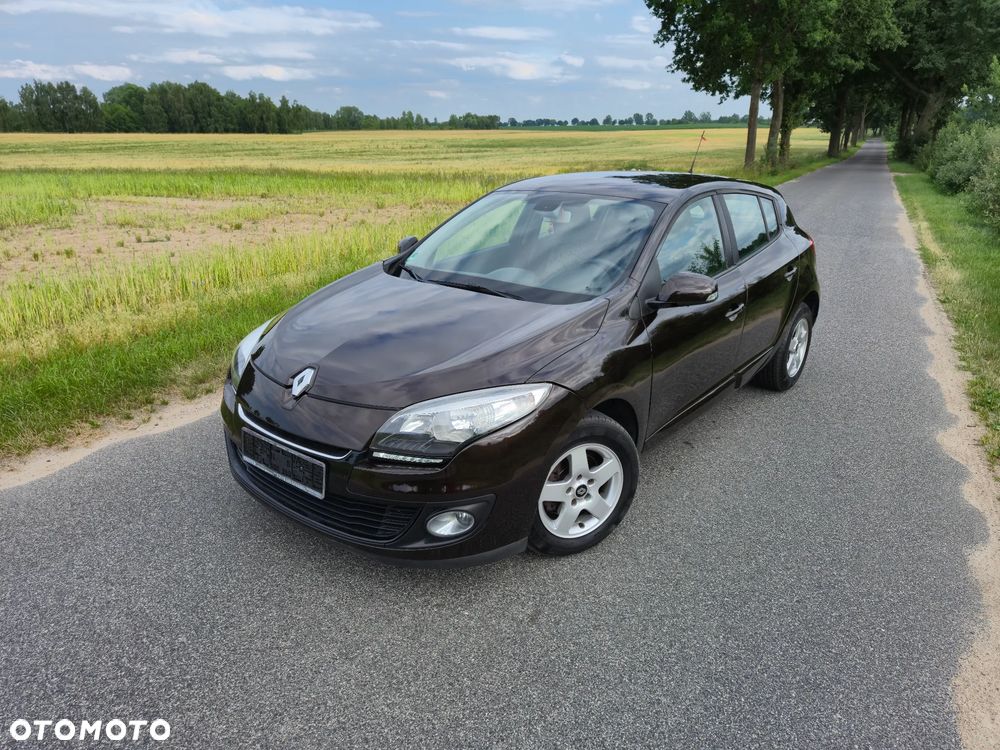 Renault Megane - 23