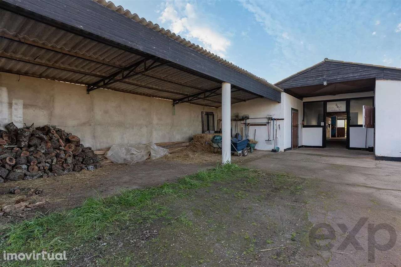 Propriedade privada - Centro Equestre - Grande imagem: 5/22