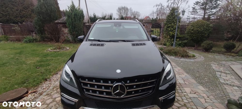 Mercedes-Benz ML - 12