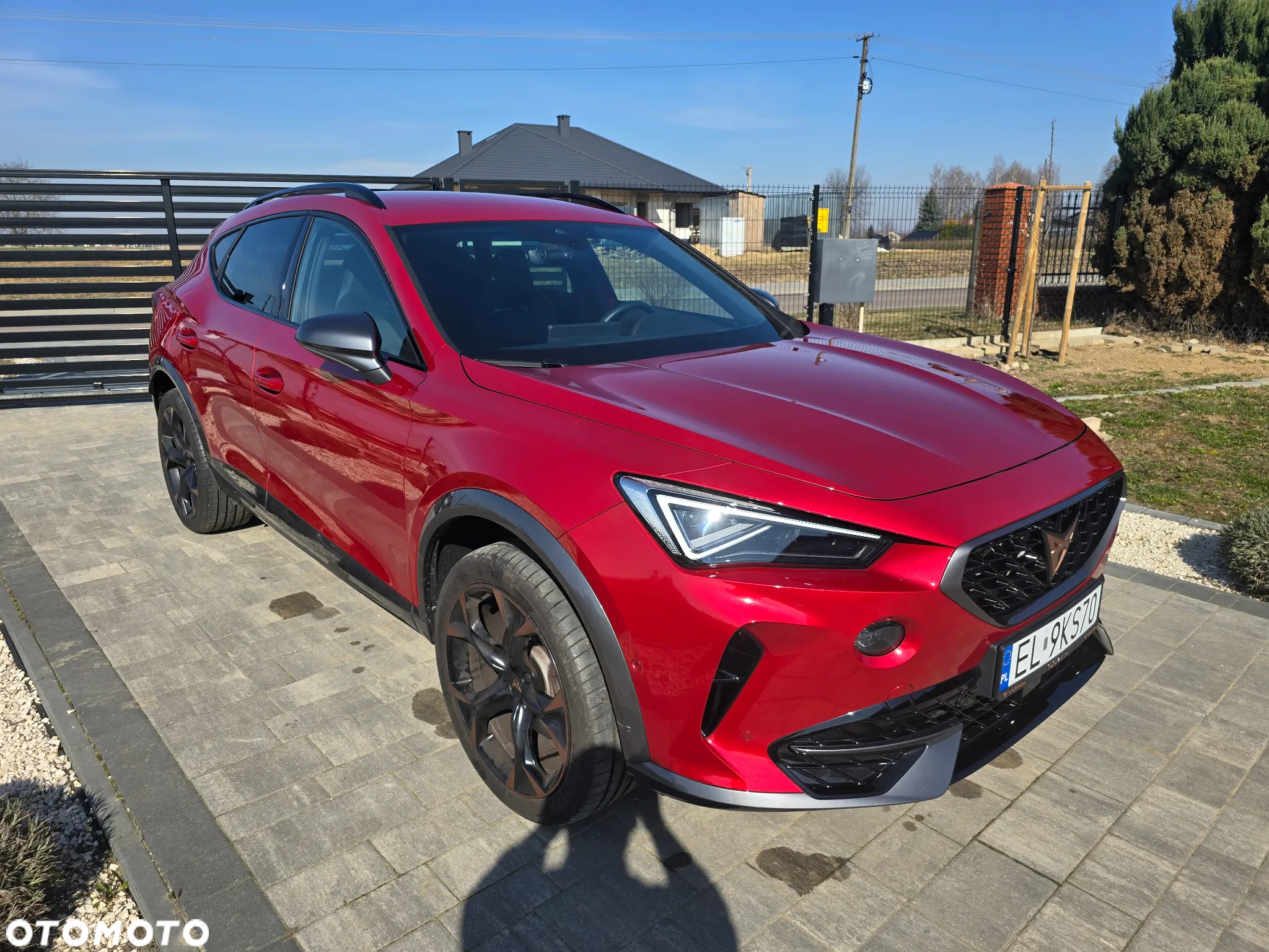 Cupra Formentor 2.0 TSI 4Drive DSG - 7