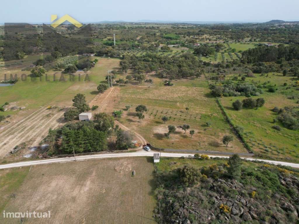 Quinta com 2,1 hectares em Castelo Branco - Grande imagem: 2/12